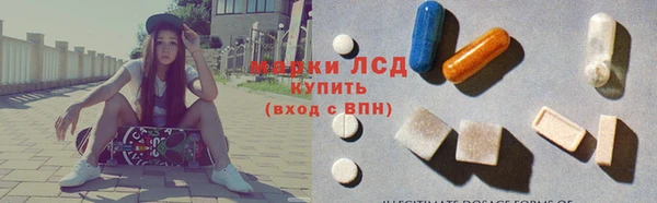 ПСИЛОЦИБИНОВЫЕ ГРИБЫ Лабытнанги