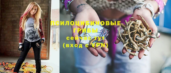ПСИЛОЦИБИНОВЫЕ ГРИБЫ Лабытнанги