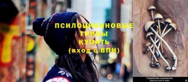 бошки Орск